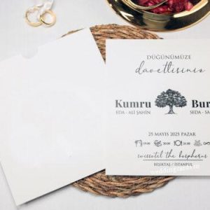 Invitatii nunta: 2464-armony-24